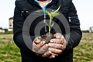 Man hands holding a green young plant. Symbol of spring and ecol