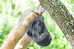 man hands holding a pair of boxing gloves on the background tree.