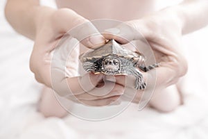 Man hands holding Turtle. Selective focus