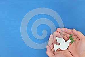 Man hands holding white dove with olive branch in blue background. Symbol of hope and peace.