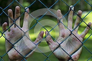 Man hands in jail. Imprisonment. Poverty, suffering. photo