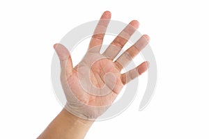 Man hands on white background