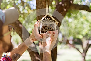 Man hanging insect hotel on the tree