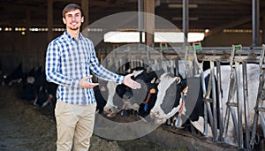 Man happily stroking cows