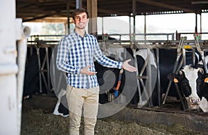 Man happily stroking cows