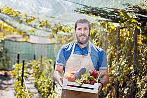 Man harvesting fresh vegetables from his bio greenhouse farm