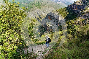 Man with hat going down the forest path between mountains.