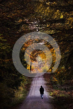 A man with a hat in a forest on an autumn day