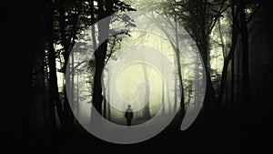 Man in creepy forest with fog on Halloween photo