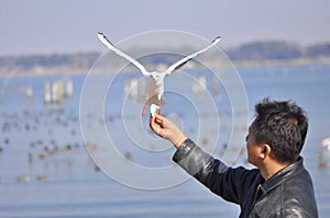 A man having fun feeding bird at a beach