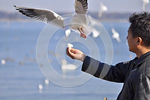 A man having fun feeding bird at a beach