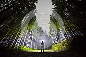 Man with head flashlight standing on forest road among tall fir-trees under dark blue night sky.