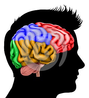 Man Head in Silhouette Profile with Brain Concept