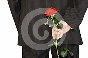 Man hiding back red rose