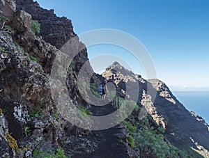 Man hiker at footpath of hiking trail Tasartico to Playa GuiGui beach, Barranco de Guigui Grande ravine with cacti