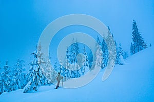 Man hiker on a slope in a winter snowy forest