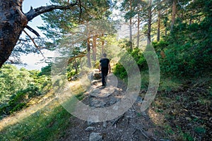 Man hiker walking along a path of the enchanted forest at dawn, Guadarrama, Madrid.