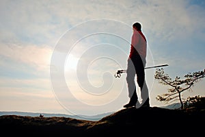 Man hikerwith trakking poles stand on mountain peak rock. Small pine bonsai tree grows in rock, spring day