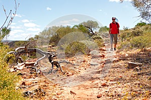 Man hiking Australian outback