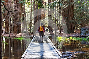 Hike in the forest