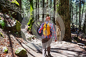 Hike in the forest