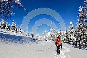 Man hiking in Carpathian mountains