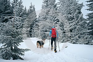 Man hiking with dog in beautiful winter forest in mountain