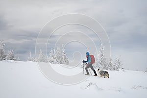 Man hiking with dog in beautiful winter mountain