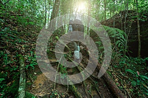 Man with hiking equipment walking in mountain forest