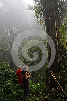 Man hiking equipment walking in mouton forest