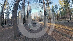 Man Hiking on the Nobles Emigrant Trail