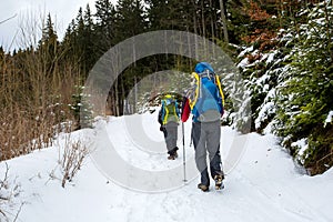 Man is hiking in winter forest on cloudy day