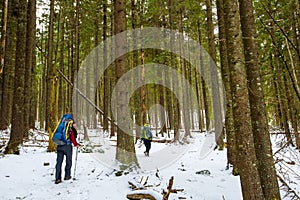 Man is hiking in winter forest on cloudy day