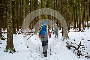 Man is hiking in winter forest on cloudy day