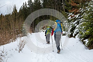 Man is hiking in winter forest on cloudy day