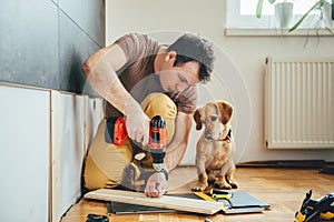 Man and his dog doing renovation work at home