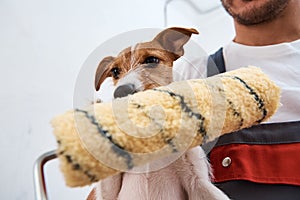 Man with his dog doing renovation work in room. Good relationship between a dog and his owner