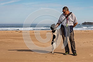 Uomo un il suo il cane Aspetto sul ogni prossimo sul Spiaggia 