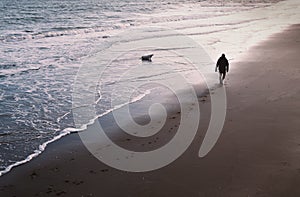 A man and his dog walk along a wet sandy beach leaving foot prints. The dog is in the sea retrieving a stone. photo