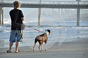 A Man and his Dog Walking together on Sandy Beach