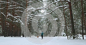 a man and his dog walking in a winter snowy forest during a snowfall