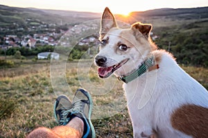 Man and his dog watching the sunset on a hill over the village