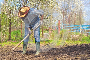 Man hoeing vegetable garden soil