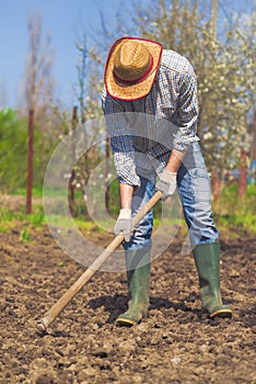 Man hoeing vegetable garden soil