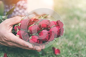 Man hold a fresh red roses offer to the women, girlfriend for a gift of valentins flower surprise. Man submit the red roses flower