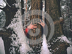 Man hold tree trunk with the frozen bark covered with sticky snow