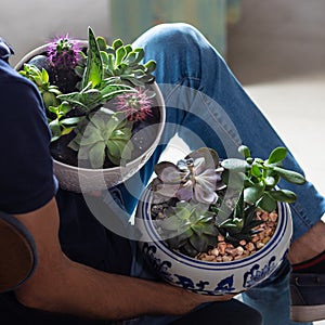 Man holding 2 terrarium plant in the ceramic pot