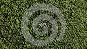 Man holding bicycle above the head and spinning around, happy freedom inspirational travel concept, aerial shot top view