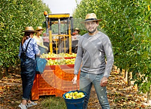 Man holding bucket with bruised apples