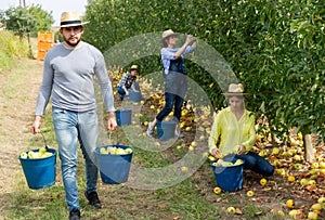 Man holding bucket with bruised apples